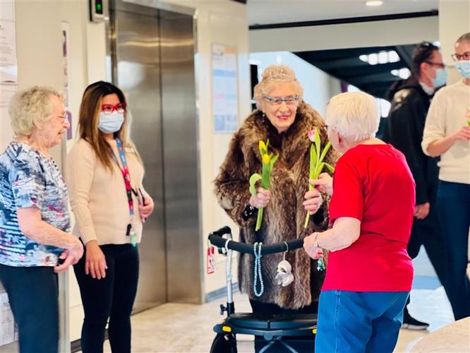 Image 2 for Queen for a Day: Stella's Wish